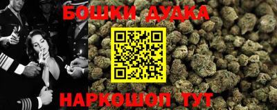ПСИЛОЦИБИНОВЫЕ ГРИБЫ Новозыбков