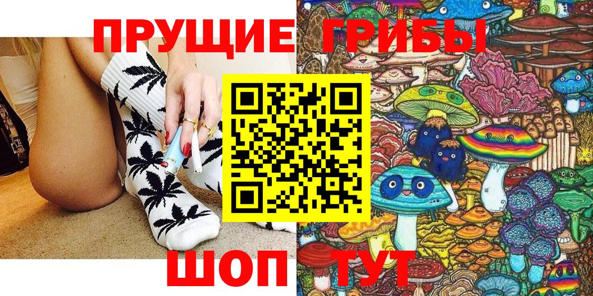 Галлюциногенные грибы Psilocybine cubensis Тихвин